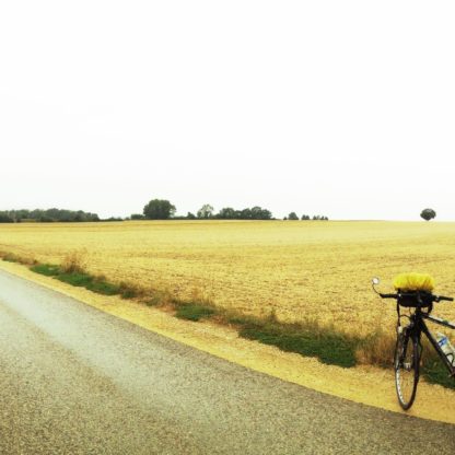 Sehr flache Gegend, abgeerntetes Getreidefeld hinter einem schräg ins Bild laufenden Teerweg. Im rechten Bildteil sieht man ein Fahrrad