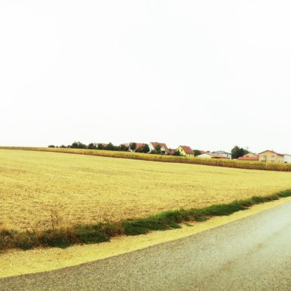 Sehr flache Gegend, abgeerntetes Getreidefeld hinter einem schräg ins Bild laufenden Teerweg.