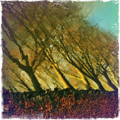Unscharfe Spiegelung von Bäumen. Die Bäume wirken schräg, sind gelblich verfärbt unter türisem Himmel. Am unteren Bildrand erkennt man die Uferböschung und braunes Herbstlaub.