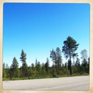 Rechter Teil des Lappland Straßenpanoramas