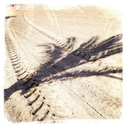 von links fällt der Schatten einer jungen Palme auf ein graubraunes, frisch eingesätes Feld. Deutlich zieht sich eine Traktorspur auf der planen Oberfläche.