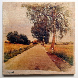 Flucht einer sehr schmalen Straße. Rechts stehen Alleebäume, links Heckenbewuchs, Leitpfosten und ein Teerflicken am rechten Straßenrand.
