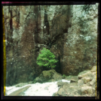 Vor einer wuchtigen Felswand steht ein winziger Baum im Grau des schwarz umrandeten Bilds. Schneeplacken zieren den Vordergrund.