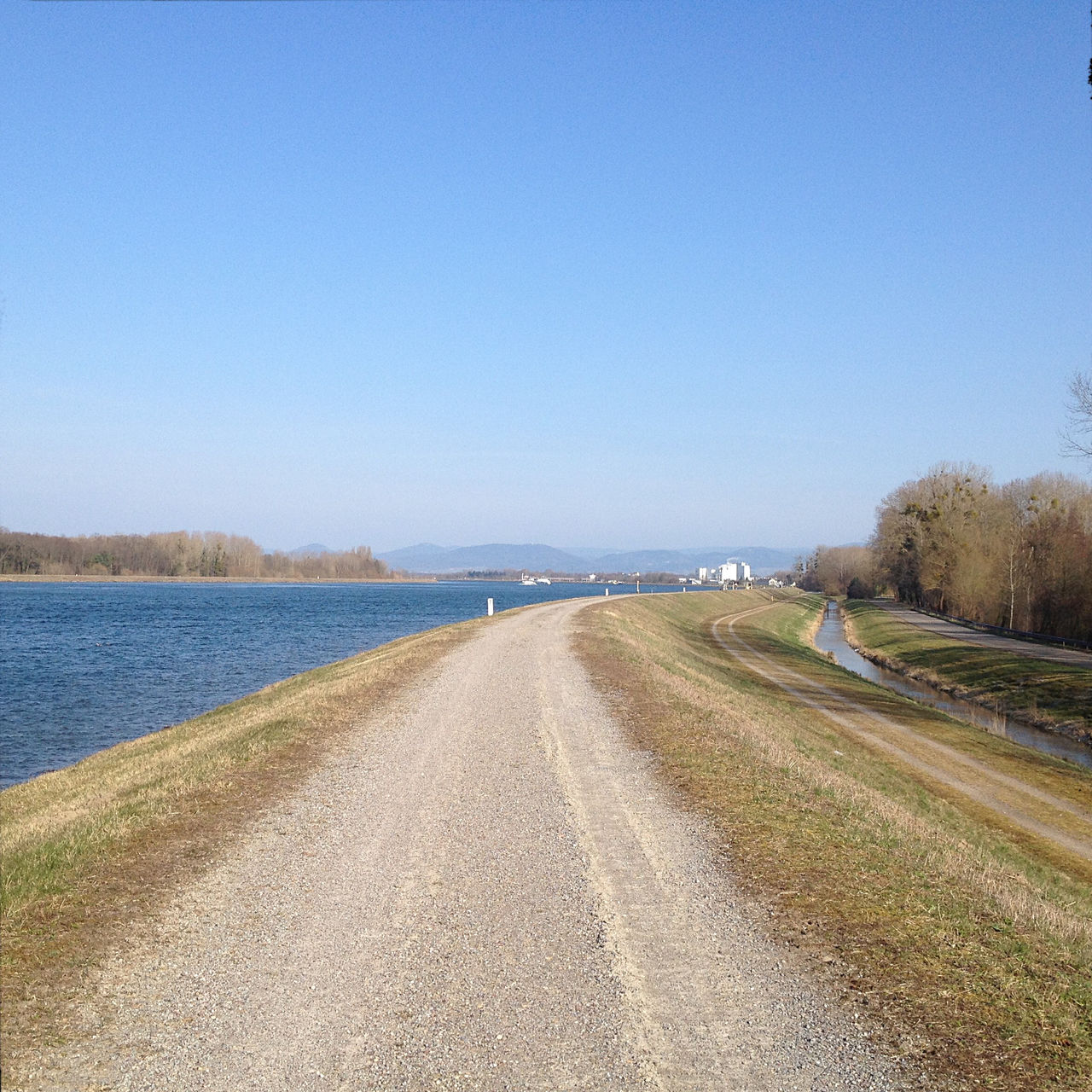 Blick vom Rheindamm flussaufwärts, links tiefblauer Fluss, Mitte graubrauner Weg, rechts Ufergewächs, unbelaubt.
