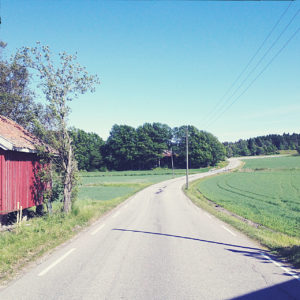 Links eine rote Holzhütte. Straße schlängelt sich auf ein Wäldchen zu. Blasse Fehlfarben wie ein gealtertes Foto.