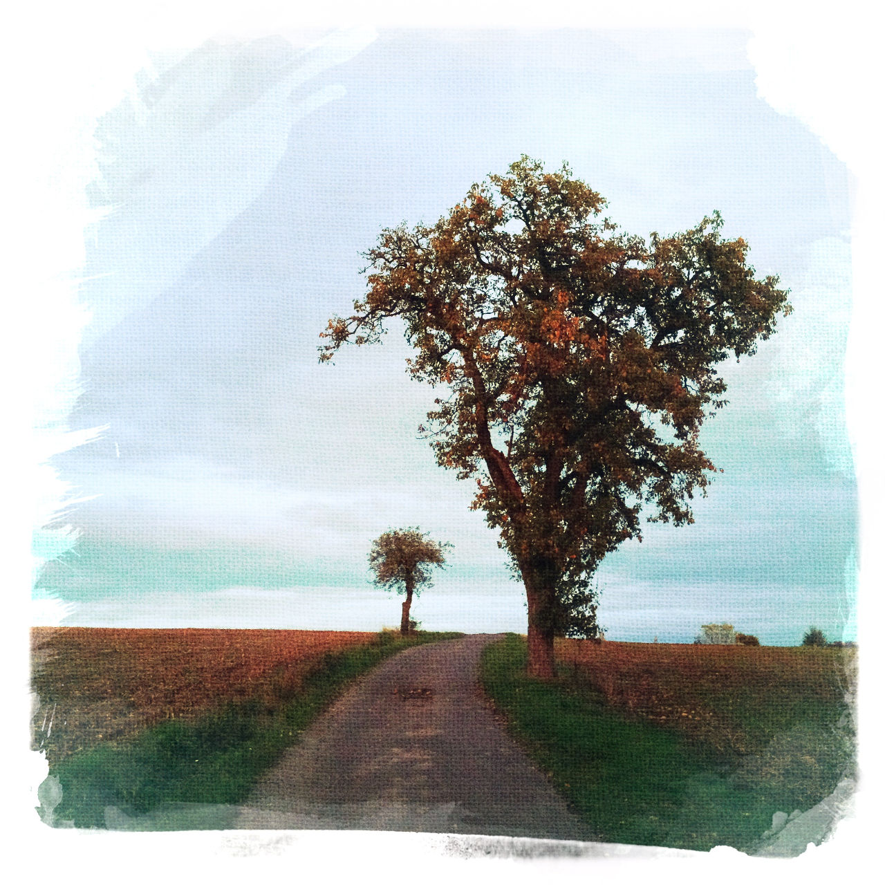 Auf einer Leinwandstruktur ist ein Weg mit Birnbaum rechts und Apfelbaum, etwas kleiner im Hintergrund links abgebildet. Herbstliche Farben und abgeerntete Felder.