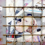 Ein Altpapiercontainer aus Giterrost, hinter dem eine Illustrierte mit Hundekopf deutlich ins Auge fällt.