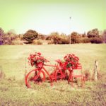 Das blass-rötlich verfremdete, quadratische Bild zeigt ein altes, rot bemaltes Fahrrad neben einem ebenso rot bemalten Stuhl vor einer wie verbrannt wirkenden Felderlandschaft. Geranien, natürlich rot, zieren Lenker und Gepäckträger