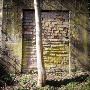 Im schrägen Schlagschatten von links liegt eine Wand, in der eine ehemalige Tür zugemauert ist. Mitten vor der Tür wächst ein junger Baumstam.