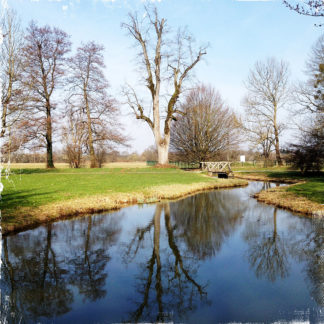 Kahler, riesiger, frisch geschnittener Baum spiegelt sich im Blau eines Kanals, garniert von grünen Parkwiesen und einem Brückchen.