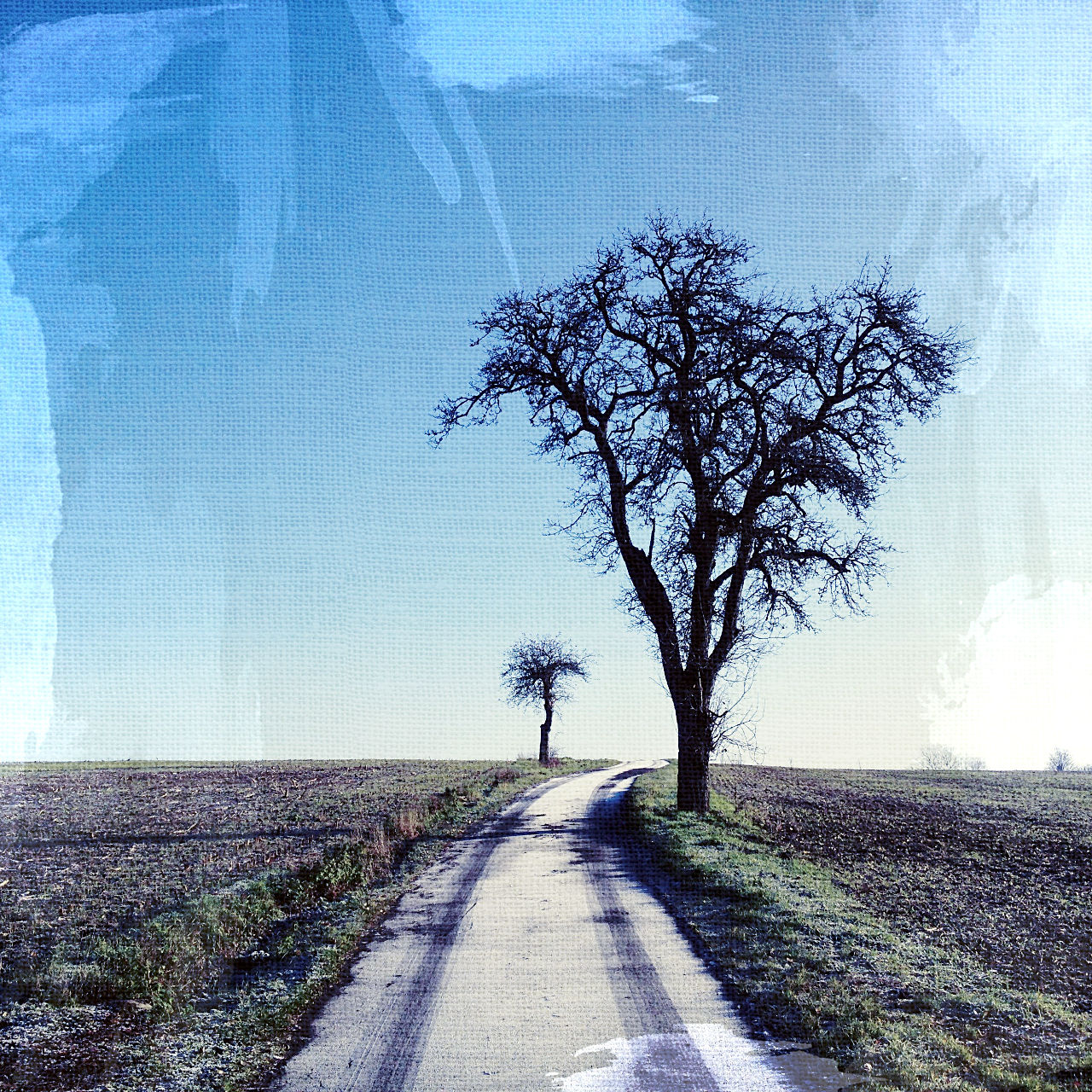 Blick einen leicht gekrümmten, schmaslen Teerweg entlang, an dessen rechter Seite ein kahler Birnbaum steht, links im Hintergrund ein krummer Apfelbaum. Blauer Himmel, Leinwand-Struktur, der Weg trägt Raureif und eine Fahrzeugspur.