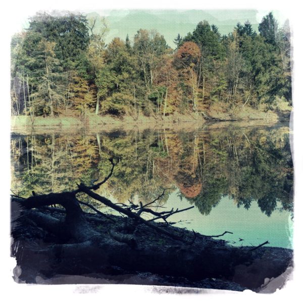 Blick auf einen Weiher über Totholz im Schatten bis zum sonnenerleuchteten Hintergrund jenseits des Weihers, in dem sich der bewaldte Uferbereich aus Mischwald spiegelt.