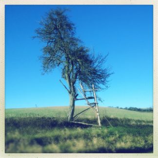 Im Profil lehtnt ein Hochsitz, die Leiter rechts, an einem alleinestehenden Obstbaum. Die wildwüchsige Wiese im Vordergrund geht in einen unbepflanzen Acker über. Tiefblauer Himmel