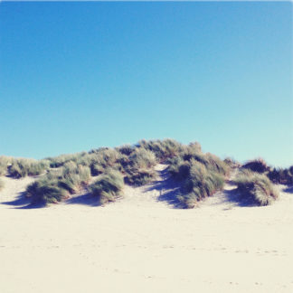 Eine kleine, fast weiße Sanddüne mit spärlichem Strandbewuchs unter blauem Himmel.