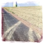 Von einem Teerweg zweigt nach rechts eine zweispurige Schmutzspur in ein abgeerntetes Feld. Ansatzweise der Fuß eines Windrads im Hintergrund.