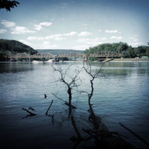 Schatten von Uferbewuchs ragt in einen tiefblauen Fluss-Stausee. Im Hintergrund eine Brücke.