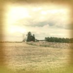 Beiges Bild einer Felderlandschaft auf Anhöhe