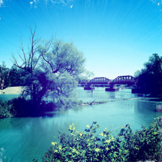 Flussaue bläulich verfärbt mit Blick auf eine Eisenbahnbrücke aus Stahlfachwerk und eine kleine Insel mit Weidenbaum.