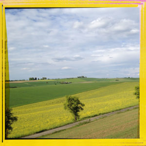 Gelb gerahmtes Bild etwas von einem Hang gesehen mit Blick auf einen Streuobstbaum. Die diagonale Linienführung der Felder in Rapsgelb erzeugen eine gepmetrische Struktur