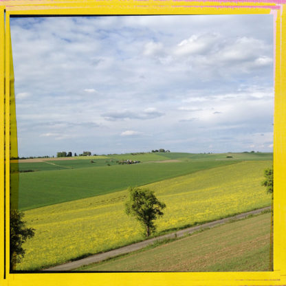 Gelb gerahmtes Bild etwas von einem Hang gesehen mit Blick auf einen Streuobstbaum. Die diagonale Linienführung der Felder in Rapsgelb erzeugen eine gepmetrische Struktur