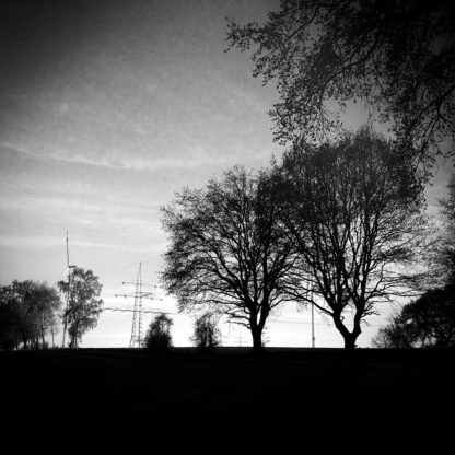 Schwarz-weiß-Bild mit Baumsilhouetten und Vignette zu den Ecken hin. Gegenlichtaufnahme