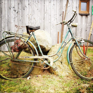 Ein altes Fahrrad, das auf dem quadratischen Bild im Profil vor einer Holzbretterwand steht und dessen Reifen vorne und hinten nicht mehr ganz aufs Bild gepasst haben.