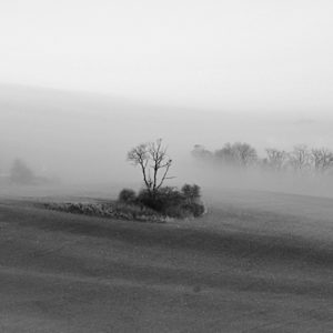 Schwarz-weiß-Bild eines fernen Baums auf einer von Büschen bewachsenen Insel in kargem Feld vor sich lichtendem Nebel.