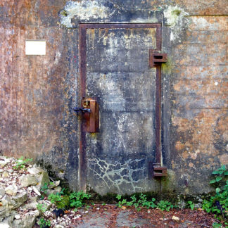 Tür in einer derben Betonwand mit verrosteten Riegeln und Bändern. Grünes quillt aus den Ritzen am Fuß der Wand.