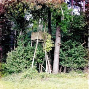 Ein verwunschen wirkender Jagdhochsitz am Waldrand. Überwuchert von Zweigen und Ästen neben einem dicken Baumstamm. Grundfarbe ist blasses olivgrün.