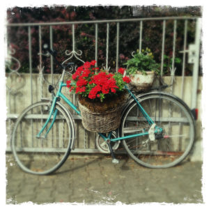 Türkisfarbenes Fahrrad mit roter Blumendekoration vor einfachem Stahlzaun mit dünnen, weit auseinander stehenden senkrechten Stäben.