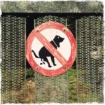 Selbst gemaltes Verbotsschild an einem Gartenzaun zeigt einen Hund beim Defäkieren, der mit rotem Balken durchgestrichen ist