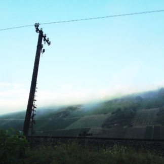 Ein markanter Mast auf einem Bahndamm führt den Betrachter, die Betrachterin ins Bild fern zu Hängen, die von Morgennebel geleitet in den seichtblauen Himmel ragen. Weinbergszeilen geben dem steilen Hang eine schachbrettartige Struktur.