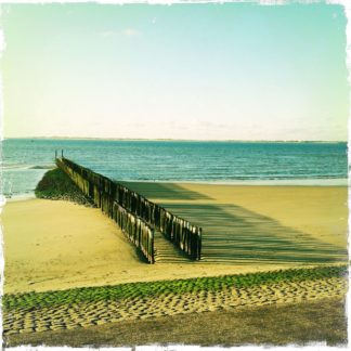 Strand mit hölzernen Wellenbrechern, grünlich bis gelblich fehlfarbig. Die Pfähle werfen lange Schatten nach rechts auf den Sand.