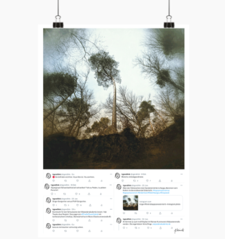 Quadratisches Bild eines düsteren lichten Walds underfoot gesehen über einigen einkopierten Tweets, die als grafische Elemente das hochkantformat vervollständigen.