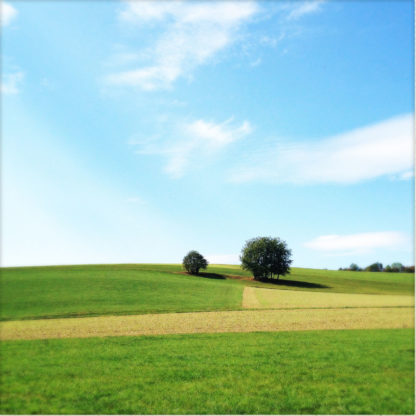 Hügeliger Landschaft grüner Wiesen durchbrochen von bräunlichen Flächen unter einem klaren, blauen Federwolkenhimmel.