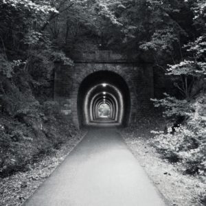Schwarzweiß-Bild eines geraden, beleuchteten alten Eisenbahntunnels, durch den ein schmaler, geteerter Bahntrassenradweg führt.Umrankt von Pflanzen an den Hängen und überm Scheitel der Tunnelöffnung.