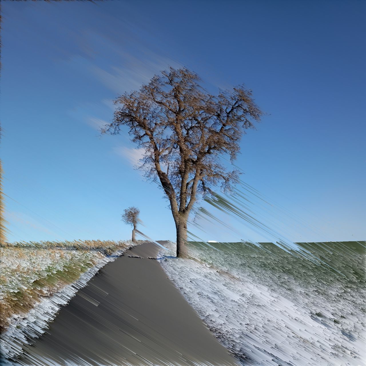 Birnbaum neben leicht verschneitem grün durchschimmerndem Wegrand an geteertem Weg vor blauem, fast unbewölktem Himmel, abstrakt verfremdet durcu lineare Pixelwiederholung in einem von links oben nach rechts unten abfallenden 45 Grad Winkel.