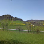 Fast unkenntlich bzw. wie mit starker senkrechter Schraffur gemalt liegt eine hügelige Landschaft grün und graublau. Streuobstbäume sind zu erahnen.