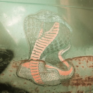 Der rissige Aufkleber, offenbar auf Blech einer Karosserie zeigt eine sich aufreckende Kobra, die das Maul aufreißt und schlangenzüngelt.