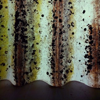 Blick durch ein verschmutztes Welldach aus halb durchsichtiger Kunstfaser.