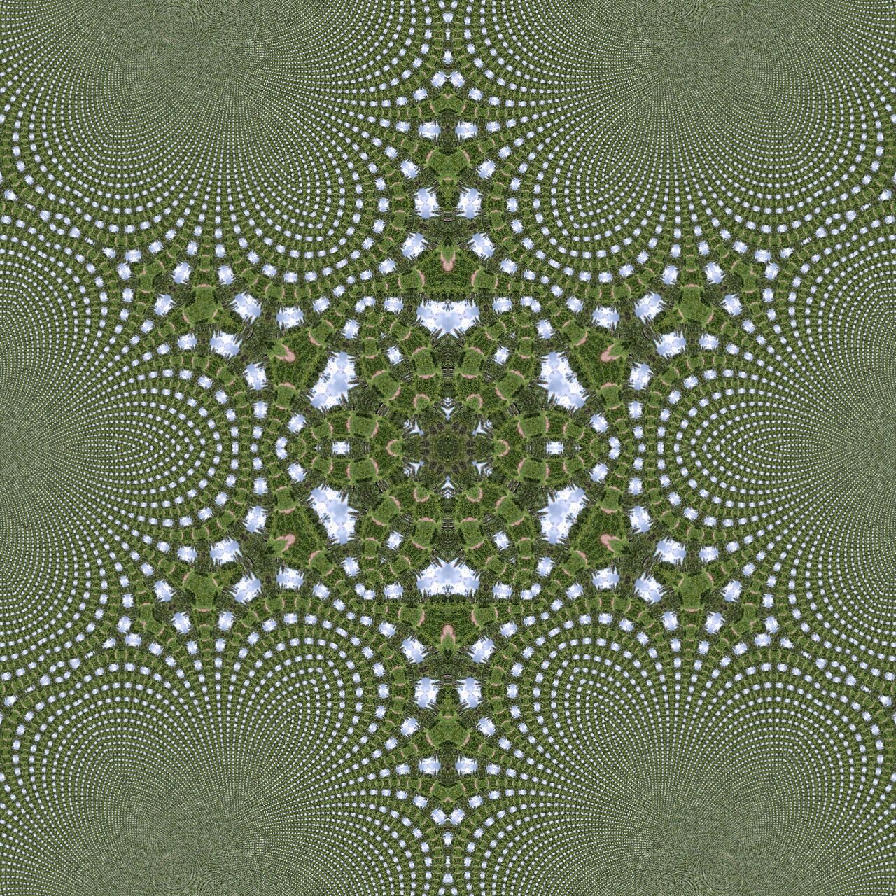 Grau-grünliches Bild eines sechszackigen Sterns mit geschwungenen Ecken. Fraktale Struktur.