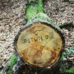 Mit Filzstift hat jemand das Wort Rotwild in Grßbuchstaben auf die Schnittfläche eines abgesägten Baumstamms geschrieben. Der bemooste Stamm liegt im Herbstlaub.