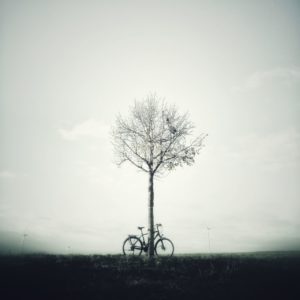 Fahrrad lehnt an einem kleinen Baum vor milchig weißem Hintergrund. Gegenlichaufnahme. Silhouettenhaft, kaum Zeichnung in den Flächen..
