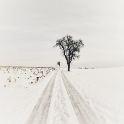 Zugeschneide weite Landschaft. Ein Weg, offenbar von einem Auto gespurt, führt an einem kahlen Birnbaum vorbei und verliert sich am Horizont in Bildmitte im grau des Himmels.