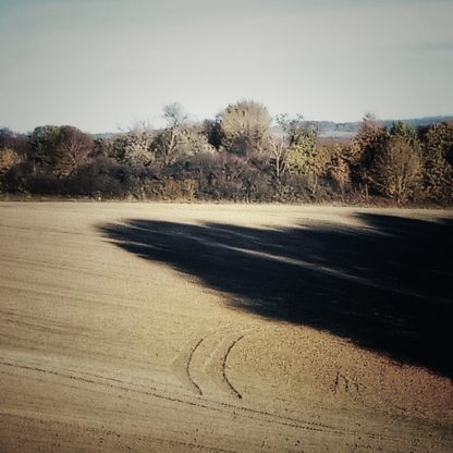 Traktorspur in einer Feldmulde am Waldrand, der einen düsteren, langen Schatten wirft.