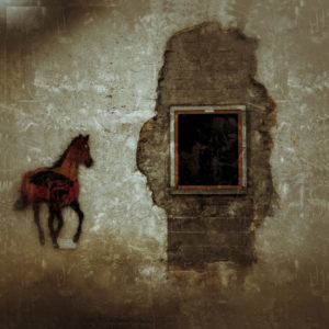 Bild eines rennenden Pferds an einer Wand
