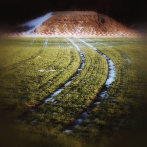 Durch ein leicht verschneites Wintergetreidefeld führt eine Traktorspur im linksbogen auf eine fein säuberlich gehäfte Erdmiete zu.