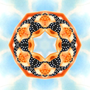 ornamentierter, mehrheitlich orangener, leicht gebogener sechseckiger Ring vor hellblauem Hintergrund
