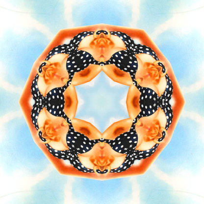 ornamentierter, mehrheitlich orangener, leicht gebogener sechseckiger Ring vor hellblauem Hintergrund