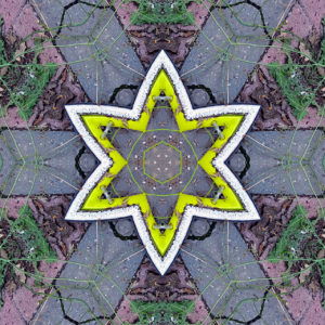 Kaleidoskopischer Stern mit sechs nach außen aufgebauchten rundlichen Zacken vor Kaleidsokop-Hintergrund